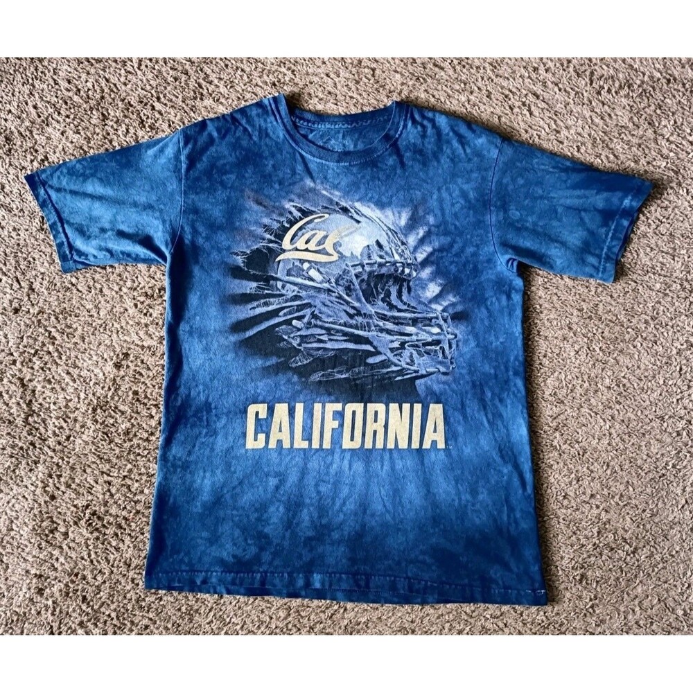 The Mountain T-Shirt Boy's Size XL Graphic Print California Blue Shirt